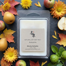 Load image into Gallery viewer, AUTUMN WAX MELT