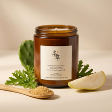 Load image into Gallery viewer, SUCCULENT &amp; PEAR - 100% NATURAL SOY SCENTED CANDLE
