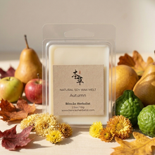 Load image into Gallery viewer, AUTUMN WAX MELT
