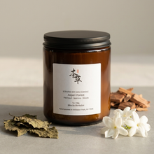 Load image into Gallery viewer, ASPEN FOREST - 100% NATURAL SOY SCENTED CANDLE
